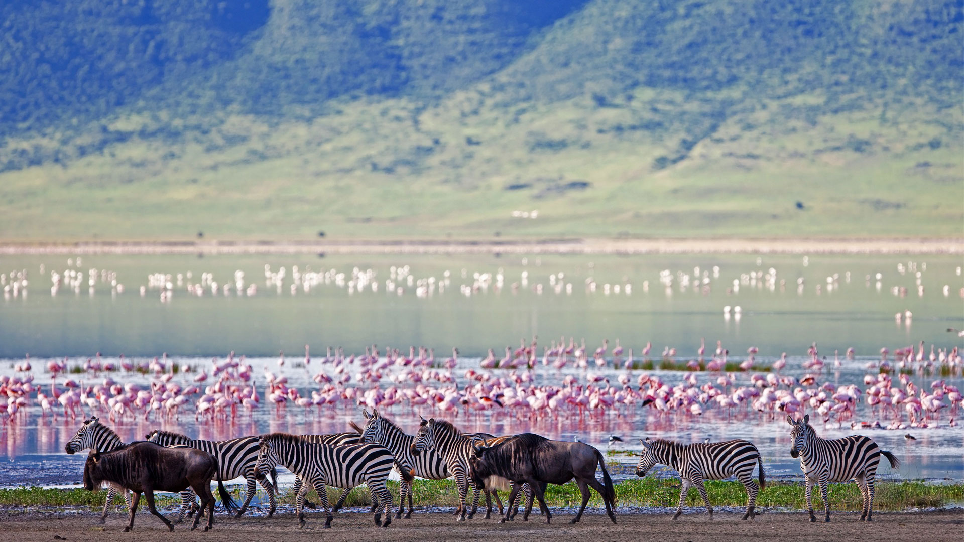 A Few Hours of Eden on Earth: The Ngorongoro Crater-Tanzania